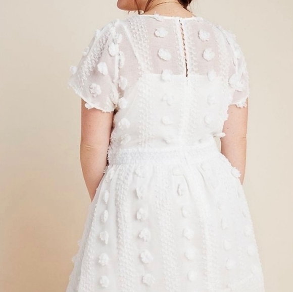 Anthropologie Sunday in Brooklyn Bonita sheer swiss dot Textured Midi Dress 8p - Picture 5 of 10